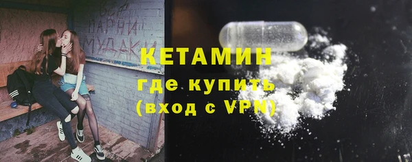 гашик Алексин