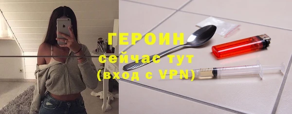 гашик Алексин