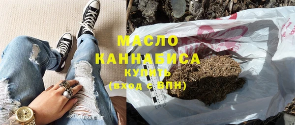 гашик Алексин