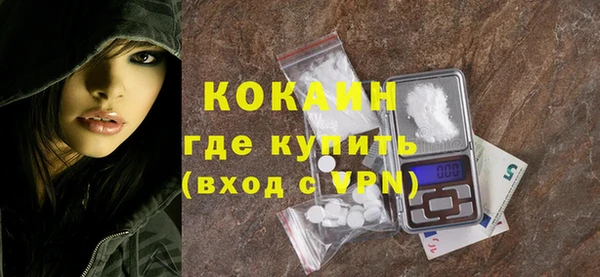 гашик Алексин