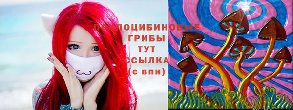 амф Алзамай