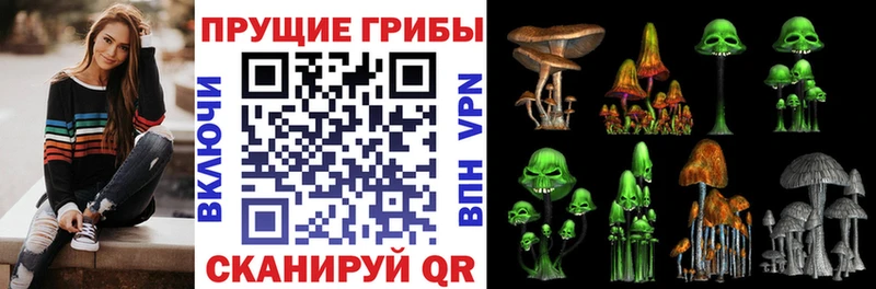 хочу наркоту  Кимры  Галлюциногенные грибы Psilocybine cubensis 